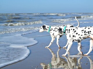 Vakantiehuis Noordwijk Omgeving 16