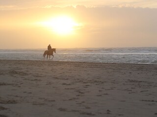 Casa de vacaciones Noordwijk Entorno 22