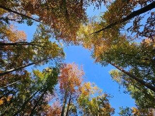 Apartamento Rechlin Entorno 27