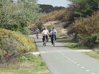 Vakantiehuis Noordwijk Omgeving 20