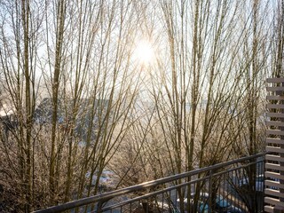 Apartment Granzow Outdoor Recording 4
