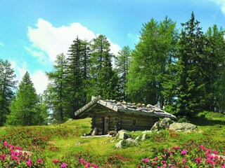 Appartamento Algund Ambiente 16