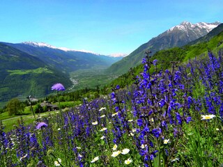 Appartamento Algund Ambiente 17