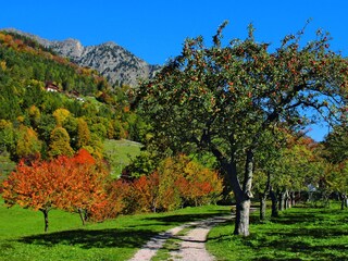 Appartamento Algund Ambiente 19