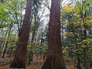 Casa de vacaciones Weberin Entorno 25