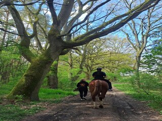 Maison de vacances Weberin Environnement 40