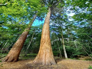 Vakantiehuis Weberin Omgeving 43