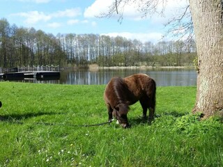 Vakantiehuis Weberin Omgeving 19