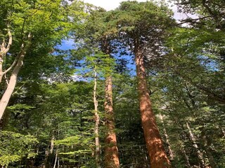 Vakantiehuis Weberin Omgeving 49