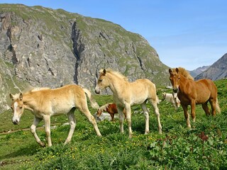 Appartamento Algund Ambiente 16