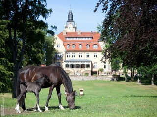 Ferienhaus Weberin Außenaufnahme 3