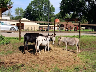 Ferienhaus Weberin Außenaufnahme 2