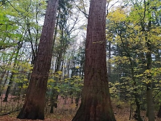 Casa per le vacanze Weberin Ambiente 31