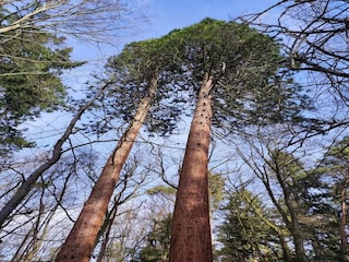 Casa per le vacanze Weberin Ambiente 32