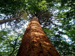 Casa per le vacanze Weberin Ambiente 19