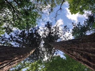 Ferienhaus Weberin Umgebung 18