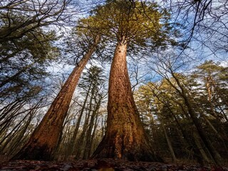 Casa per le vacanze Weberin Ambiente 27