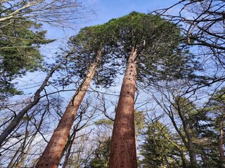 Vakantiehuis Weberin Omgeving 36