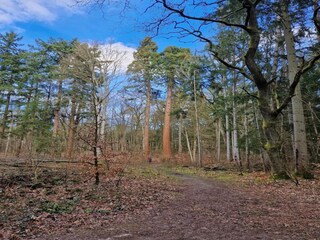 Vakantiehuis Weberin Omgeving 34
