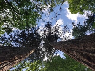 Casa per le vacanze Weberin Ambiente 35