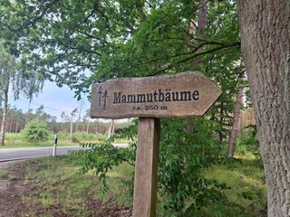 Ferienhaus Weberin Umgebung 50