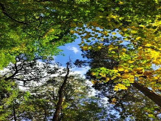 Casa per le vacanze Weberin Ambiente 53