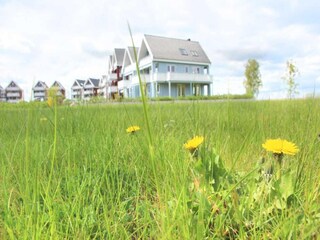 Appartement Rechlin Environnement 26