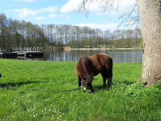 Ferienhaus Weberin Umgebung 18