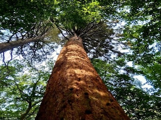 Holiday house Weberin Environment 25