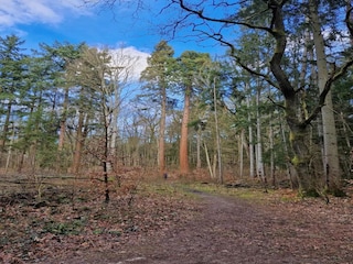 Holiday house Weberin Environment 36