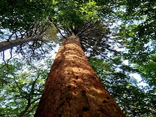 Ferienhaus Weberin Umgebung 26