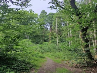 Ferienhaus Weberin Umgebung 34