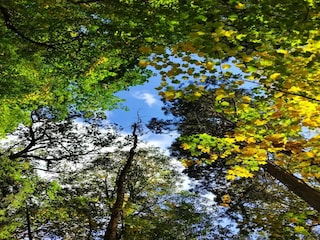 Ferienhaus Weberin Umgebung 35