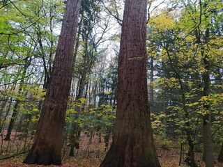 Maison de vacances Weberin Environnement 28