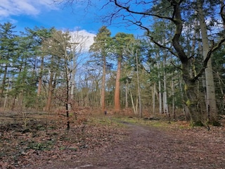 Ferienhaus Weberin Umgebung 31