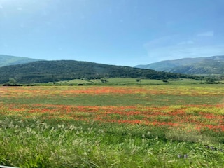 Holiday park Guillestre Environment 31