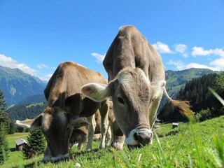 Ferienpark Guillestre Umgebung 13