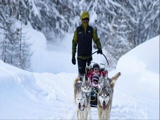 Parc de vacances Guillestre Environnement 62