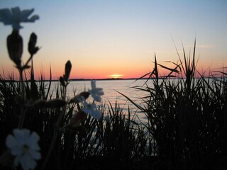 Apartment Rechlin Umgebung 20