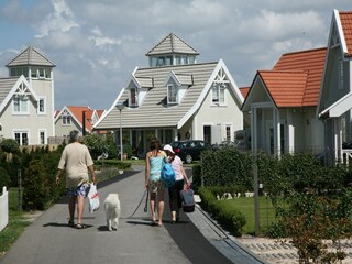 Parc de vacances 's-Gravenzande Environnement 30