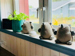 Ferienhaus Granzow  33