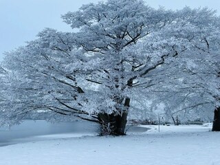 Holiday house Granzow Environment 29