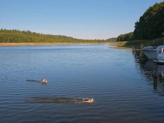 Casa per le vacanze Granzow Ambiente 29