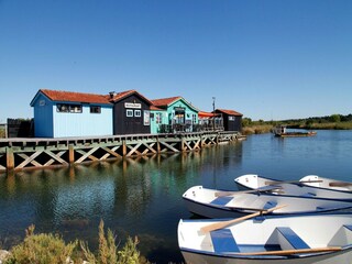 Parque de vacaciones Dolus-d'Oléron Entorno 20