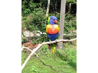 Vögel füttern im Tierpark