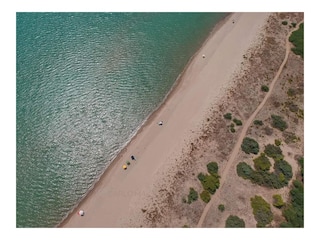 Beach petfriendly