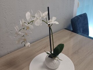 Appartement Vranjic Kenmerken 30