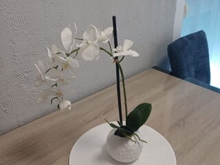 Apartment Vranjic Ausstattung 31
