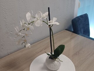 Appartement Vranjic Buitenaudio-opname 4