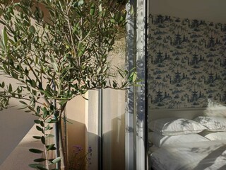 Appartamento Ližnjan Caratteristiche 35